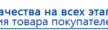 Пояс электрод купить в Белово, Электроды Меркурий купить в Белово, Нейродэнс ПКМ официальный сайт - denasdevice.ru